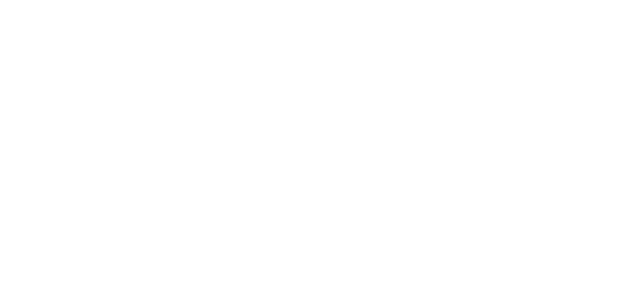 Stanlee India