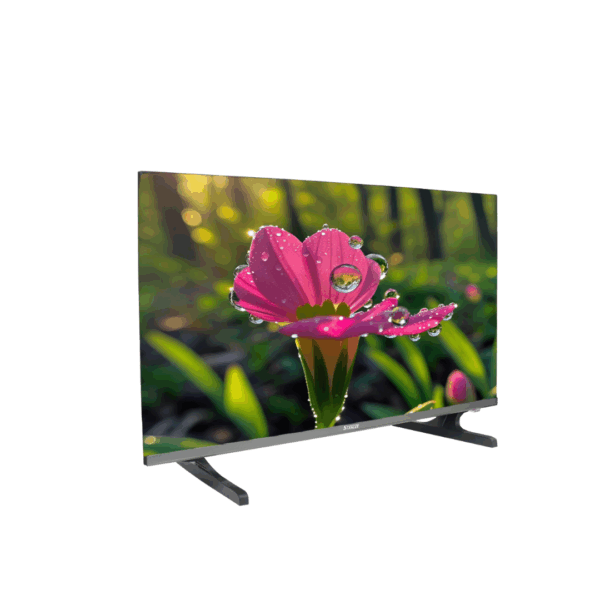Stanlee India (32 inches) Smart Fire TV - Image 12