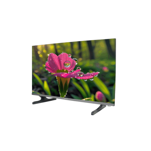 Stanlee India (32 inches) Smart Fire TV - Image 13